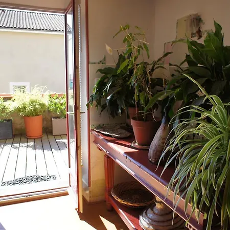 Mas Terre D'hotes Bed & Breakfast *